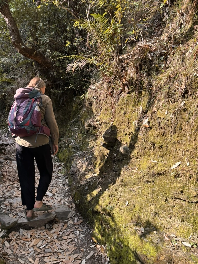Nicole hiking through jungle forest, Himalayas