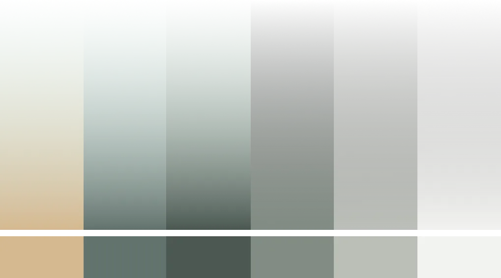 Rohyma Jet brand colour palette